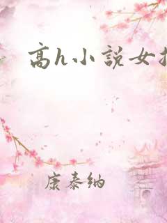 高h小说女总裁
