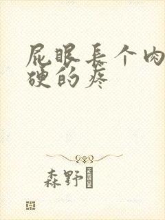 屁眼长个肉球硬硬的疼