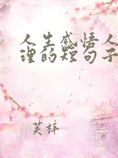 人生感悟人生哲理的短句子