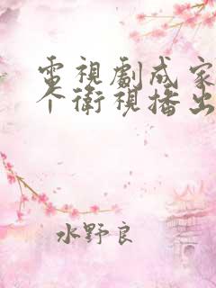 电视剧成家在哪个卫视播出