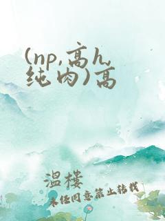 (np,高h,纯肉)高