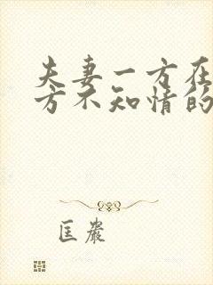 夫妻一方在另一方不知情的情况下欠钱怎么办
