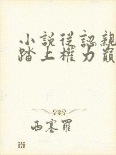 小说从认亲开始踏上权力巅峰彭远征完本