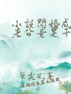 小说闪婚成宠,老公竟是千亿大佬