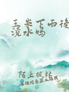 玉米下雨后还用浇水吗