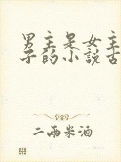 男主是女主小叔子的小说古文