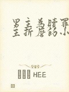 男主为赎罪任女主折磨的小说