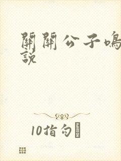 关关公子鸣龙小说