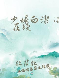 少妇白洁 小说 在线