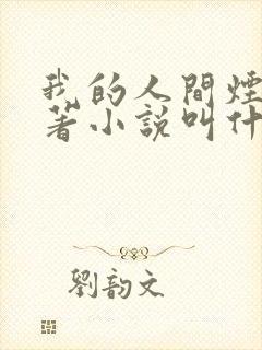 我的人间烟火原著小说叫什么