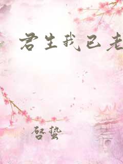 君生我已老短剧