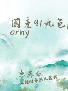 国产91九色porny