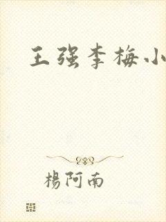 王强李梅小说