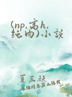 (np,高h,纯肉)小说 (np,高h,纯肉)小说