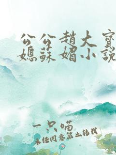 公公赵大宝和儿媳苏媚小说