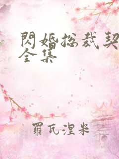闪婚总裁契约妻全集