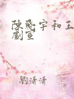 陈飞宇和王影璐剧宣