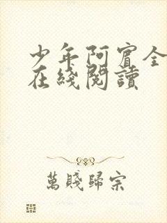 少年阿宾全目录在线阅读