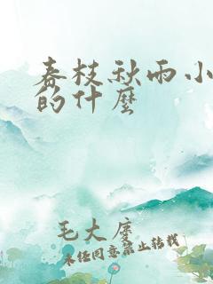 春枝秋雨小说讲的什么