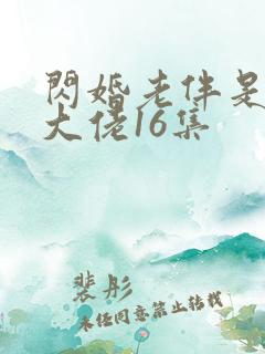 闪婚老伴是豪门大佬16集