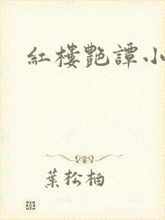 红楼艳谭小说
