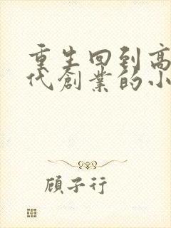重生回到高中时代创业的小说