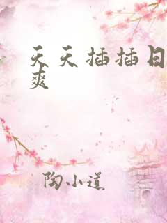 天天插插日夜夜爽