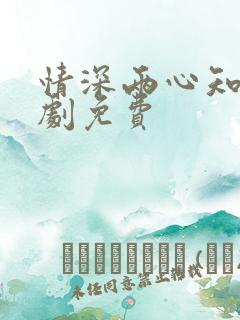 情深两心知电视剧免费