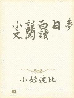 小说白日梦我全文阅读