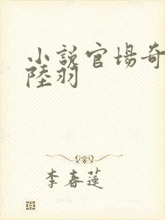 小说官场奇才 陆羽