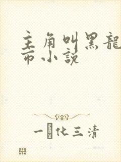 主角叫黑龙的都市小说