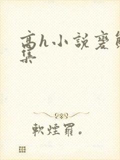 高h小说变态合集