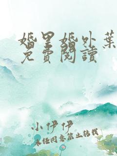 婚里婚外叶晓井免费阅读