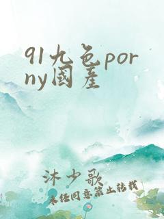 91九色porny国产