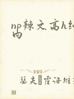 np辣文高h纯肉