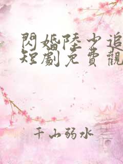 闪婚陆少追妻儿短剧免费观看下载