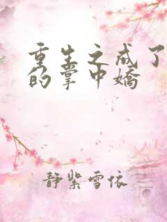 重生之成了权臣的掌中娇