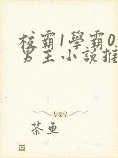 校霸1学霸0双男主小说推荐