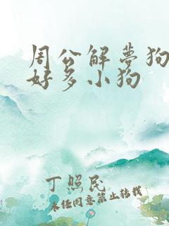 周公解梦狗生了好多小狗