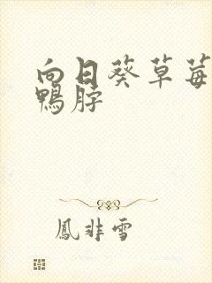 向日葵草莓丝瓜鸭脖