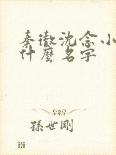 秦彻沈念小说叫什么名字