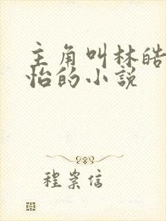 主角叫林皓李静怡的小说