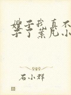 嫂子我真不是傻子了叶凡小说读书阁