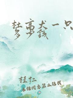 杜高犬一只小狗多少钱