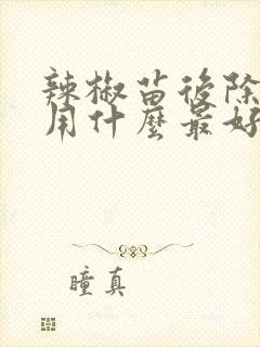 辣椒苗后除草剂用什么最好
