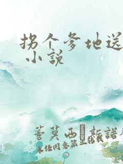 拐个爹地送妈咪 小说