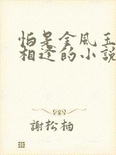 怕是金风玉露不相逢的小说