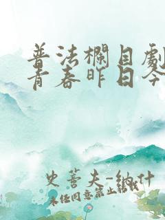 普法栏目剧我的青春昨日今夜一集