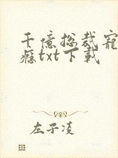 千亿总裁宠妻上瘾txt下载