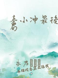 秦小冲最后的结局